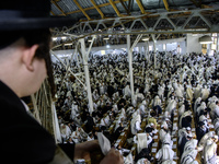 Ultra-Orthodox Jewish Hasidic pilgrims pray in the Synagogue of Bratslav Hasidim near the tomb of Rabbi Nachman on the eve of the Rosh Hasha...