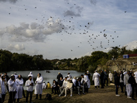 Ultra-Orthodox Jewish pilgrims pray on the bank of a lake near the tomb of Rabbi Nachman while celebrating Rosh Hashanah, the Jewish New Yea...