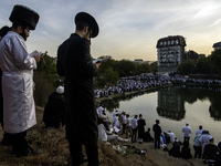 Ultra-Orthodox Jewish pilgrims pray on the bank of a lake near the tomb of Rabbi Nachman while celebrating Rosh Hashanah, the Jewish New Yea...