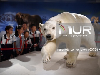 Children look at a polar bear specimen at a natural history museum in Qingdao, China, on October 5, 2024. (