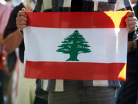 A protester holds a Lebanese flag. Hundreds of people demonstrate in Toulouse, France, on October 5, 2024, in support of Gazans, the Gaza St...