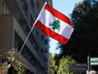 A woman waves the Lebanese flag during the protest. Hundreds of people demonstrate in Toulouse, France, on October 5, 2024, in support of Ga...