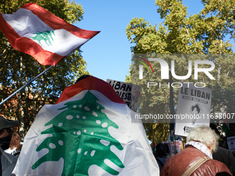 A protester is wrapped in a Lebanese flag. Hundreds of people demonstrate in Toulouse, France, on October 5, 2024, in support of Gazans, the...