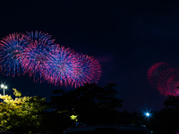 Fireworks illuminate the skyline of Yeouido during the Seoul International Fireworks Festival, drawing thousands of spectators and photograp...