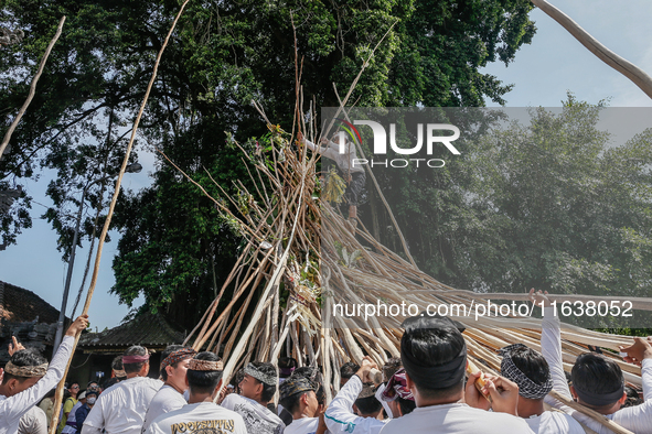 A Balinese man climbs pyramid-like structures using long wooden sticks during the Mekotek ritual in Munggu Village, Bali, Indonesia, on Octo...