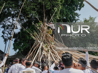 A Balinese man climbs pyramid-like structures using long wooden sticks during the Mekotek ritual in Munggu Village, Bali, Indonesia, on Octo...