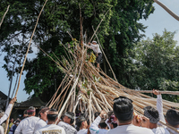 A Balinese man climbs pyramid-like structures using long wooden sticks during the Mekotek ritual in Munggu Village, Bali, Indonesia, on Octo...