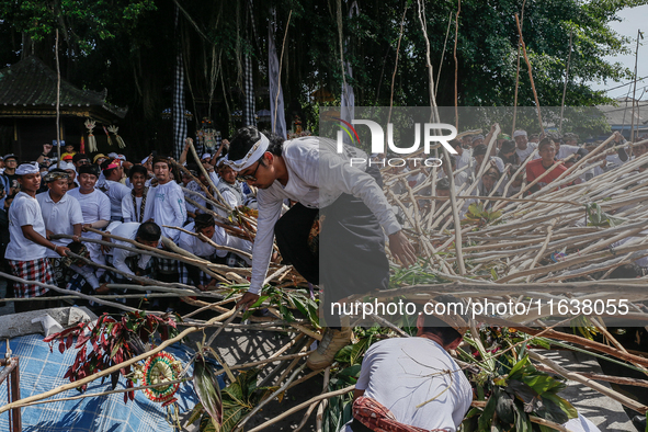 A Balinese man falls from a pyramid-like structure using long wooden sticks during the Mekotek ritual in Munggu Village, Bali, Indonesia, on...