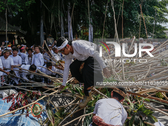 A Balinese man falls from a pyramid-like structure using long wooden sticks during the Mekotek ritual in Munggu Village, Bali, Indonesia, on...