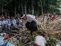 A Balinese man falls from a pyramid-like structure using long wooden sticks during the Mekotek ritual in Munggu Village, Bali, Indonesia, on...