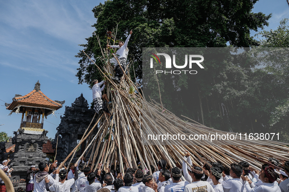 A Balinese man climbs pyramid-like structures using long wooden sticks during the Mekotek ritual in Munggu Village, Bali, Indonesia, on Octo...