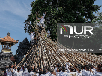 A Balinese man climbs pyramid-like structures using long wooden sticks during the Mekotek ritual in Munggu Village, Bali, Indonesia, on Octo...