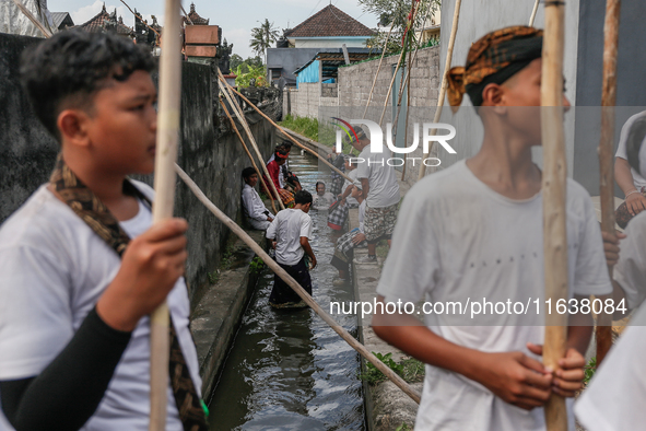 Balinese men carry long wooden sticks and take part in the Mekotek ritual in Munggu Village, Bali, Indonesia, on October 5, 2024. Mekotek is...