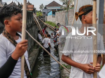 Balinese men carry long wooden sticks and take part in the Mekotek ritual in Munggu Village, Bali, Indonesia, on October 5, 2024. Mekotek is...