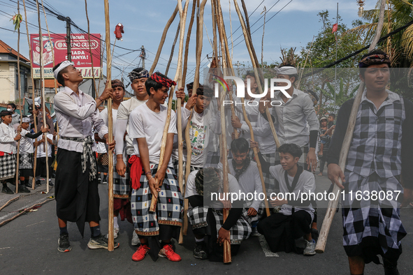 Balinese men carry long wooden sticks and take part in the Mekotek ritual in Munggu Village, Bali, Indonesia, on October 5, 2024. Mekotek is...