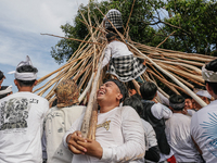 Balinese men climb pyramid-like structures using long wooden sticks during the Mekotek ritual in Munggu Village, Bali, Indonesia, on October...