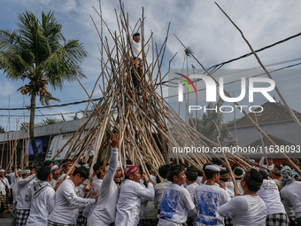 A Balinese man climbs pyramid-like structures using long wooden sticks during the Mekotek ritual in Munggu Village, Bali, Indonesia, on Octo...