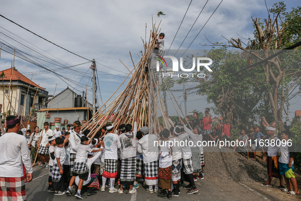 Balinese children climb pyramid-like structures using long wooden sticks during the Mekotek ritual in Munggu Village, Bali, Indonesia, on Oc...