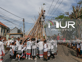 Balinese children climb pyramid-like structures using long wooden sticks during the Mekotek ritual in Munggu Village, Bali, Indonesia, on Oc...