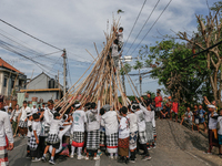 Balinese children climb pyramid-like structures using long wooden sticks during the Mekotek ritual in Munggu Village, Bali, Indonesia, on Oc...