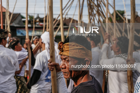 Balinese men carry long wooden sticks and take part in the Mekotek ritual in Munggu Village, Bali, Indonesia, on October 5, 2024. Mekotek is...