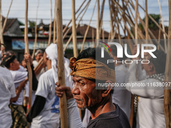 Balinese men carry long wooden sticks and take part in the Mekotek ritual in Munggu Village, Bali, Indonesia, on October 5, 2024. Mekotek is...