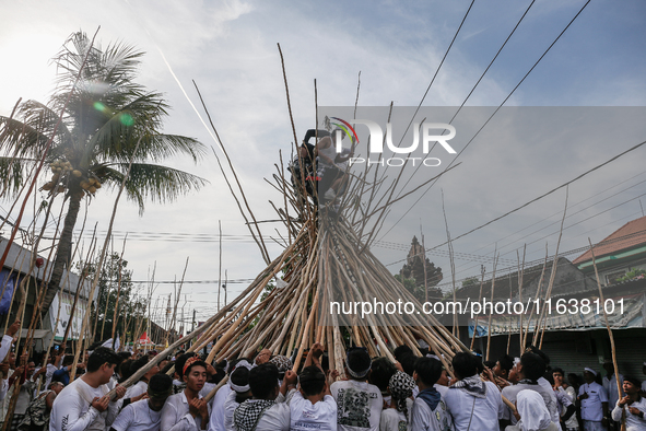 Balinese men climb pyramid-like structures using long wooden sticks during the Mekotek ritual in Munggu Village, Bali, Indonesia, on October...