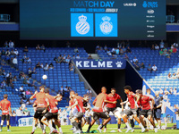 Mallorca players participate in the match between RCD Espanyol and RCD Mallorca during week 9 of LaLiga EA Sports at the RCDE Stadium in Bar...