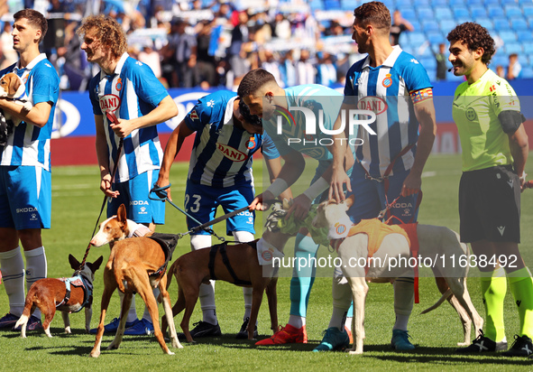 Before the start of the match against RCD Mallorca, the RCD Espanyol players take to the field with eleven dogs to promote adoption and rais...