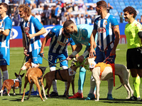 Before the start of the match against RCD Mallorca, the RCD Espanyol players take to the field with eleven dogs to promote adoption and rais...