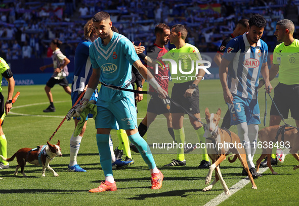 Before the start of the match against RCD Mallorca, the RCD Espanyol players take to the field with eleven dogs to promote adoption and rais...