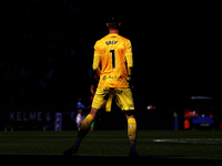 Dominik Greif plays during the match between RCD Espanyol and RCD Mallorca in week 9 of LaLiga EA Sports at the RCDE Stadium in Barcelona, S...