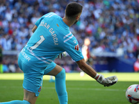 Joan Garcia plays during the match between RCD Espanyol and RCD Mallorca in week 9 of LaLiga EA Sports at the RCDE Stadium in Barcelona, Spa...