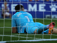 Joan Garcia plays during the match between RCD Espanyol and RCD Mallorca in week 9 of LaLiga EA Sports at the RCDE Stadium in Barcelona, Spa...