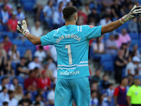 Joan Garcia plays during the match between RCD Espanyol and RCD Mallorca in week 9 of LaLiga EA Sports at the RCDE Stadium in Barcelona, Spa...