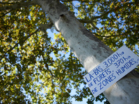 A placard on a tree reads 'There: 3,000 ha of forest, 370 ha of wetlands'. Zadists, or development protesters, begin to install a ZAD (Zone...