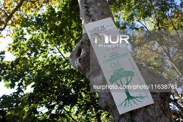 A placard on a tree in London on the Canal du Midi near Toulouse reads, ''The speed of our machines won't raise our life expectancy but a be...