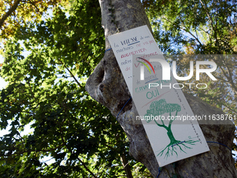 A placard on a tree in London on the Canal du Midi near Toulouse reads, ''The speed of our machines won't raise our life expectancy but a be...