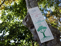 A placard on a tree in London on the Canal du Midi near Toulouse reads, ''The speed of our machines won't raise our life expectancy but a be...