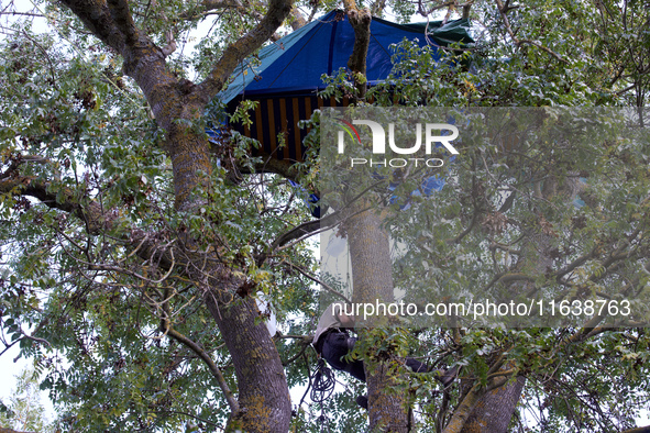 A 'Ecureuil' (squirrel) climbs to his hut in a tree along the Canal du Midi. Zadists (development protesters) begin to install a ZAD (Zone t...