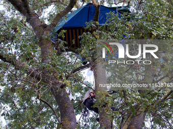 A 'Ecureuil' (squirrel) climbs to his hut in a tree along the Canal du Midi. Zadists (development protesters) begin to install a ZAD (Zone t...