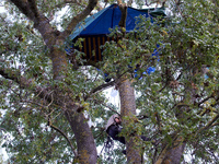 A 'Ecureuil' (squirrel) climbs to his hut in a tree along the Canal du Midi. Zadists (development protesters) begin to install a ZAD (Zone t...