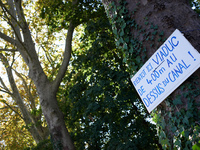 On a London plane, zadists place a placard reading 'Soon, here, a 400 meters viaduct above the Canal du Midi'. Zadists (i.e., development pr...