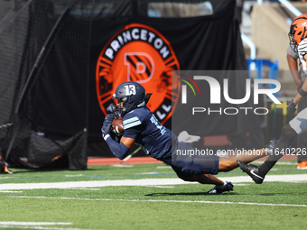 Columbia Lions wide receiver Edan Stagg #13 makes the catch during the NCAA football game against the Princeton Tigers at Robert K. Kraft Fi...