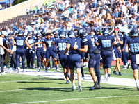 Columbia Lions quarterback Cole Freeman #4 celebrates a touchdown with teammates during the NCAA football game against the Princeton Tigers...