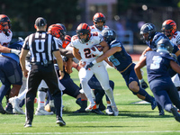 Princeton Tigers running back Ethan Clark #21 participates in the NCAA football game against the Columbia Lions at Robert K. Kraft Field at...