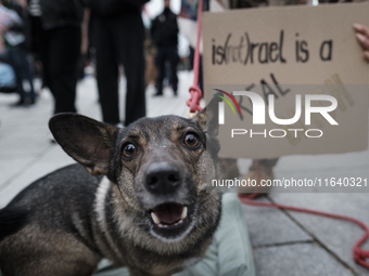 People take part in a protest in support of Palestine, in Warsaw, Poland, on October 5, 2024. Protesters march from the city center to the U...