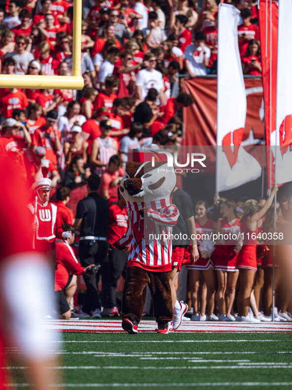 Bucky Badger is at Camp Randall Stadium in Madison, Wisconsin, on October 5, 2024. 