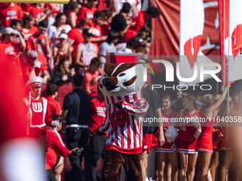 Bucky Badger is at Camp Randall Stadium in Madison, Wisconsin, on October 5, 2024. (