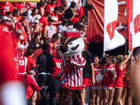 Bucky Badger is at Camp Randall Stadium in Madison, Wisconsin, on October 5, 2024. (